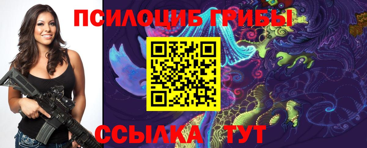 Псилоцибиновые грибы GOLDEN TEACHER  Вход с VPN  Кандалакша 