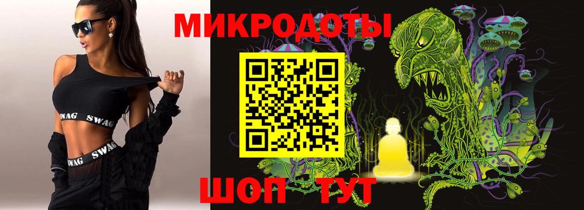 Псилоцибиновые грибы прущие грибы Кандалакша